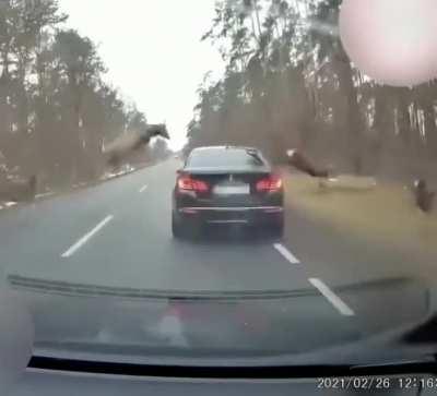 And then, out of nowhere..