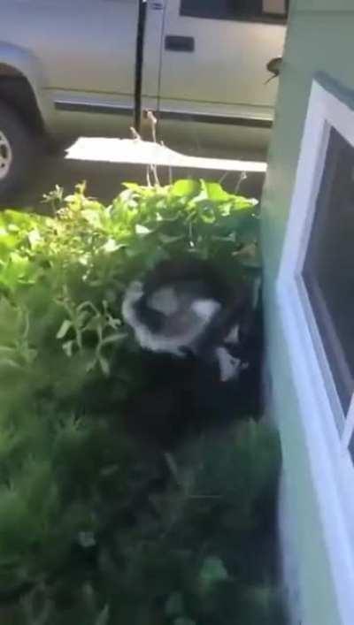 He’s not having it