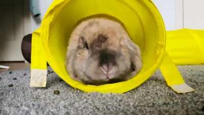 POV you’re being attacked by Benjamin