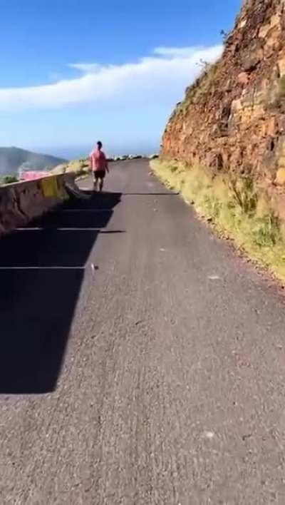 it told me that SWARM! by itself was too short for a title so i added these other words. 