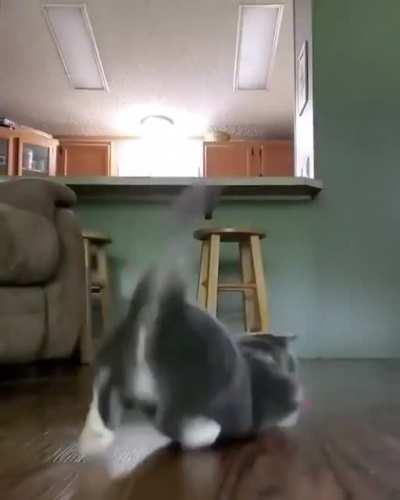 he do a dangerous dance!