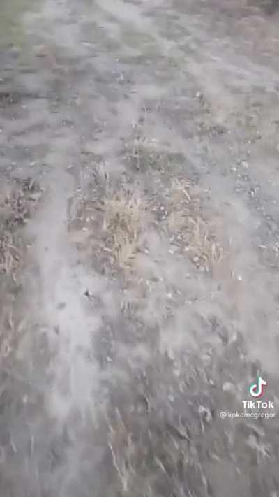 Saw this on tiktok and thought it would belong here