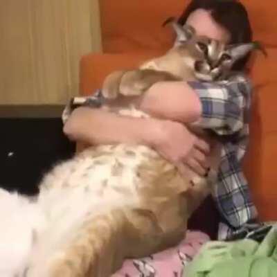 For those of you who had a lonely Valentine's, Floppa is still there for you