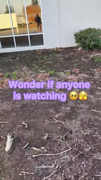 Part 1 Public sissy cum while plugged. 