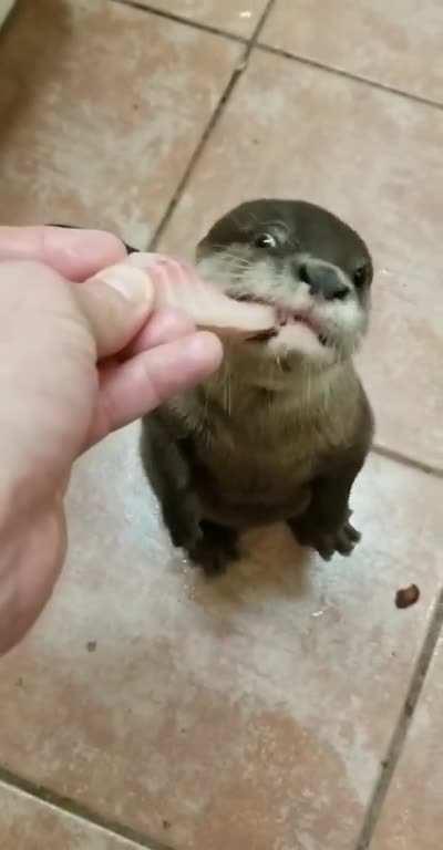 Bubble's is getting bigger! FPWC.net check out our Facebook page too! 