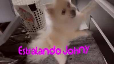 T3ddy em intro de Icarly.