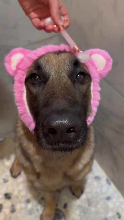 Dog VERY patiently getting a shower and personal grooming
