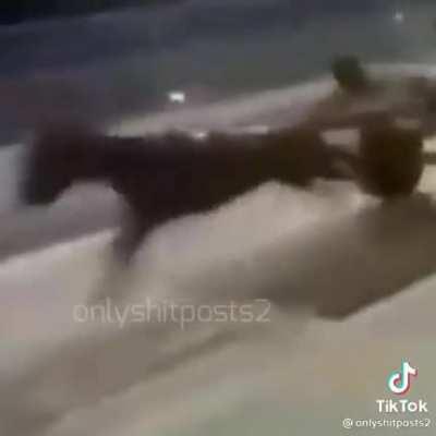 OH MY GOD😱INVIS CAR حليب التبانة على البلا حليب 🙏😳التبانة على رجل أسود كبير