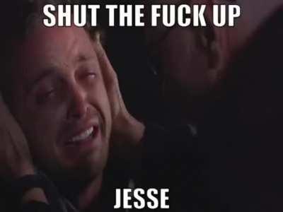 This is fucking amazing. Team Jesse and Gus all the way😎