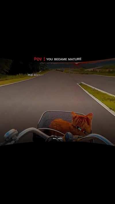 Posting wholesome shit day 6