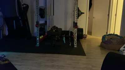 I see this post complaining about cats not being loud enough. Here you go