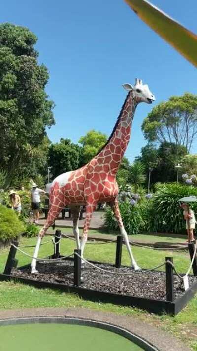 There's no way this is real