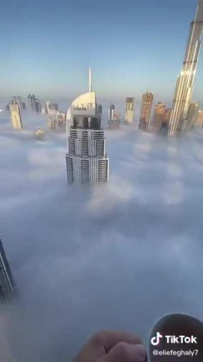 When they leaned and looked down. Just nope.