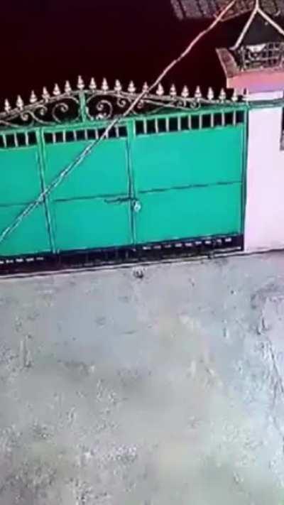 Хана пёселю