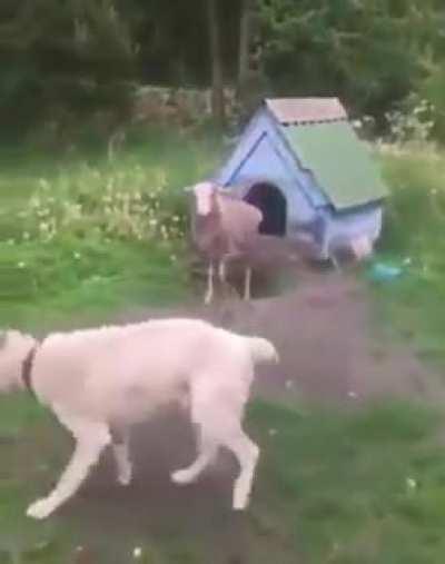 No, no, no. I-it's not what it looks like