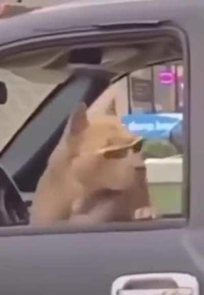 nobody is breaking into that truck