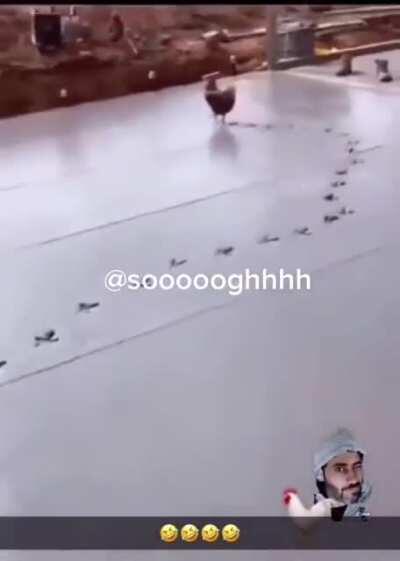 This video is such a enigma but simultaneously we share the same predicament