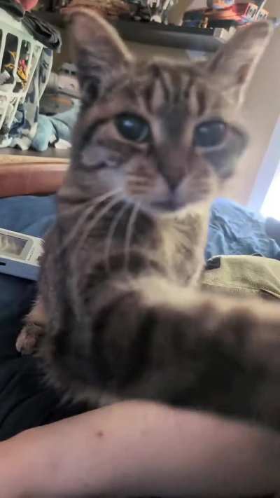 She puked in my shoe but seems sorry