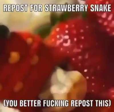 do it now this is not a request this is a threat