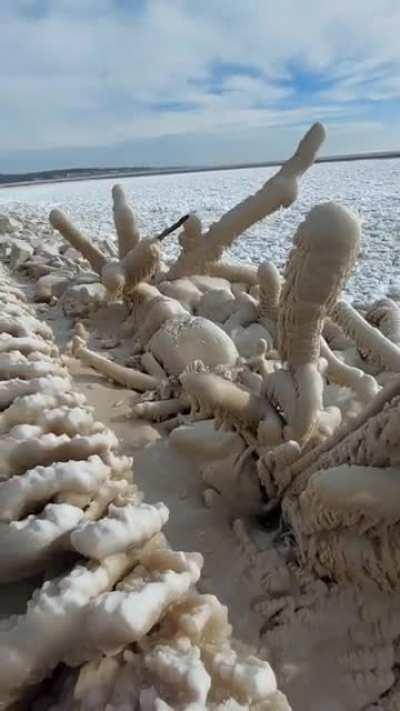 Anyone wanna see some more Ice dicks?