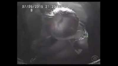 Footage of the girl and daughter of Philando Castile in police custody moments after he was shot by police. Heartbreaking.