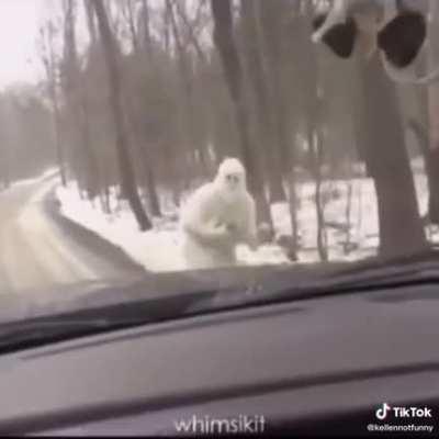 Brownie my favorite 💀