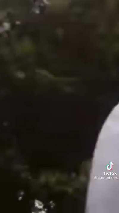 Hmmm....Autotune..... interesting!