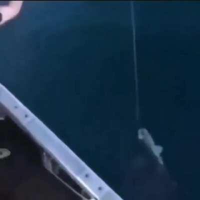 Рыбалка+ охота