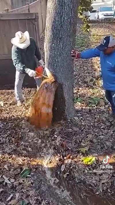 Почти берёзовый сок