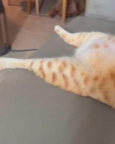 After the birthday dinner...