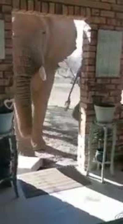 Someone stopped by to say hello.