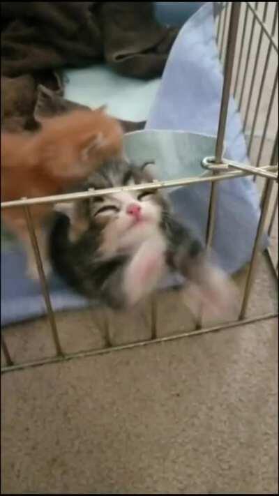 MRW i think im trapped