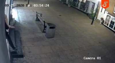 A shop window is no barrier to true love