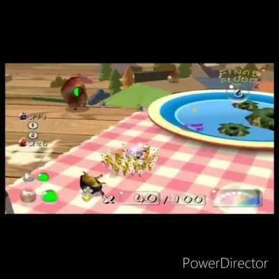 Breadbugs are truly a marvel of nature