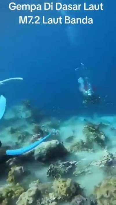 7.2 Magnitude Earthquake as seen underwater.