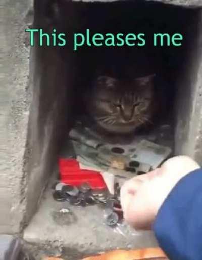 Khajit has coin but no wares