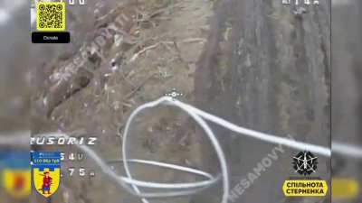 Nesamovyti Drone Unit of the 110th Separate Mechanized Brigade hits vehicles and fleeing Russians in the Pokrovske Region [2.1.25]