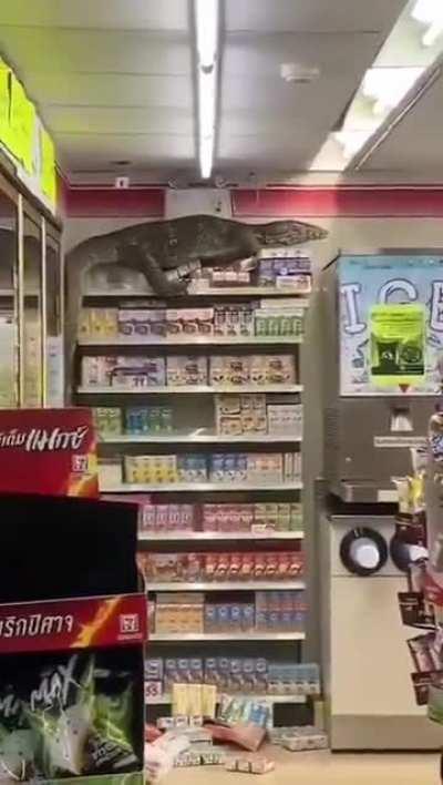 An unexpected visitor at the local shop