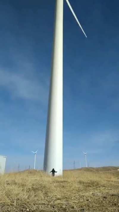 Bigger than it looks