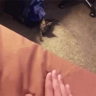 C’mere. No, you c’mere.