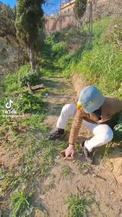 Pruuu.......... 🤨