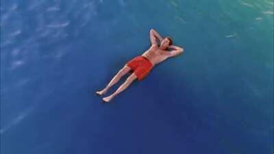 Godzilla VS. The Hoff