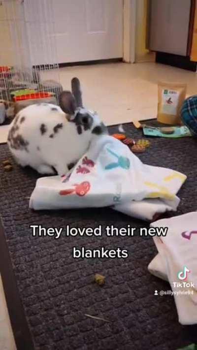 Thought yall would appreciate our Bunmas celebration! (slightly belated...)