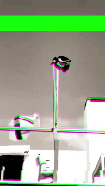 One fearless avian martyr