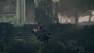 Do not disrespect the no-horse zone