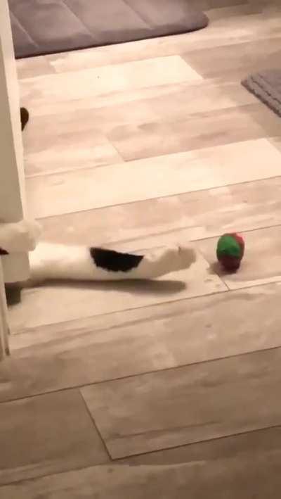 Work harder, not smarter!