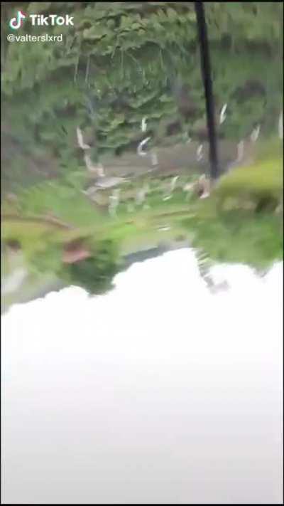 How he fall so hard on a trampoline