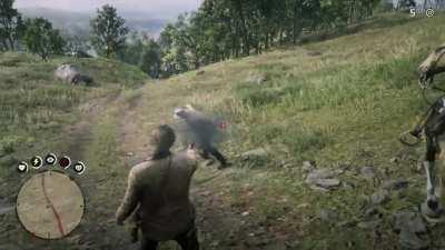 This about sums up my experience playing RDR2 for the first time