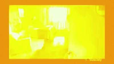 ⚠️⚠️⚠️Epilepsy Warning⚠️⚠️⚠️