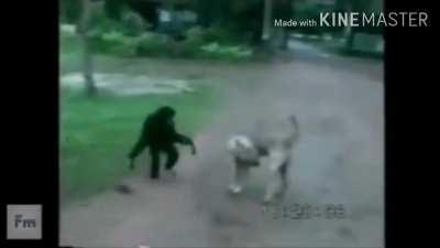 upvote para q orton lo vea y pierda 25€